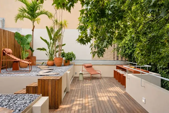 La terraza de la azotea con palmeras, después