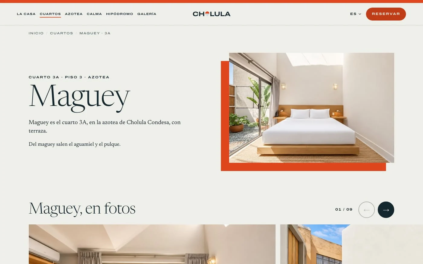 Página del cuarto Maguey: cuarto 3A en la azotea, con descripción, foto de la cama junto a la terraza y su galería de fotos